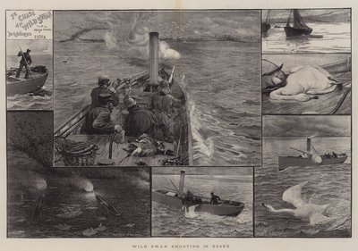 Caza de cisnes salvajes en Essex de Charles J. Staniland